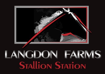 Langdon Farms Stallion Station