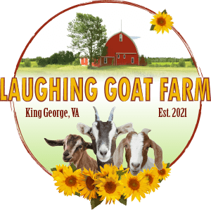 Laughing Goats