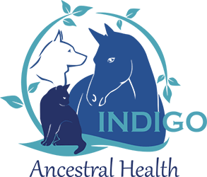 Indigo Ancestral Health Logo