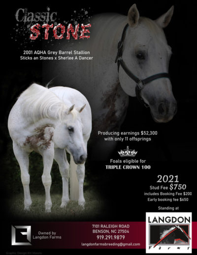 Stallion Ads