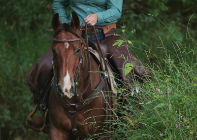 Ranch Show Trail